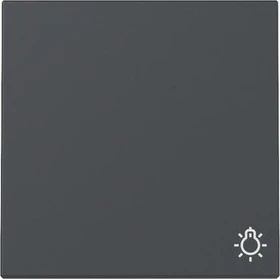 Gira Wippe mit Symbol Licht, anthrazit