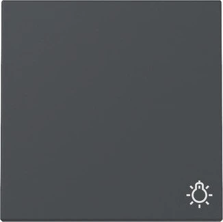 Gira Wippe mit Symbol Licht, anthrazit