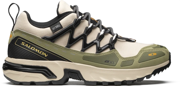 Salomon ACS + CSWP