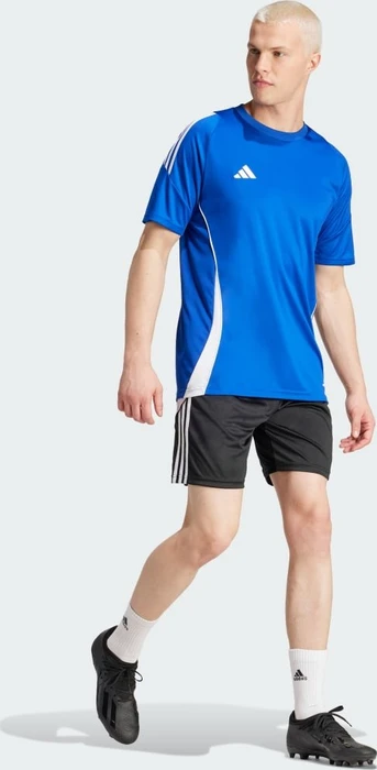 adidas Tiro 24 Trikot kurzarm royal blue/white (Herren)