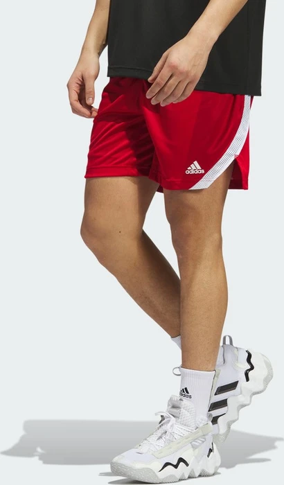adidas Icon Squad Shorts (Herren)