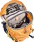 Deuter Fox 30 mango/midnight (Junior) Vorschaubild