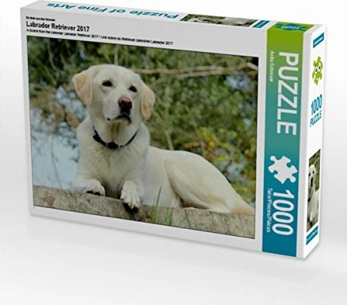Calvendo Ein Motiv aus dem Kalender Labrador Retriever 2017