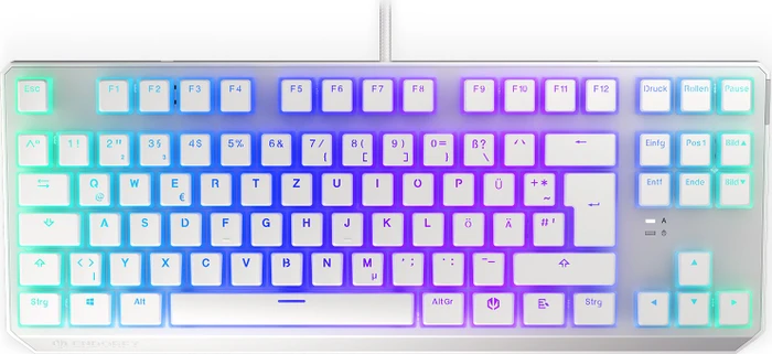 Endorfy Thock TKL Pudding, Onyx White, PBT, LEDs RGB, Kailh BROWN, USB, DE