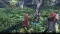 The Legend of Heroes: Trails of Cold Steel III & The Legend of Heroes: Trails of Cold Steel IV - Deluxe Edition (PS5) Vorschaubild