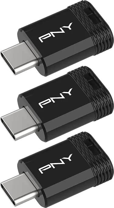 PNY Elite-X Fit Type-C