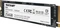 Patriot P300 256GB, M.2 2280 / M-Key / PCIe 3.0 x4 Vorschaubild