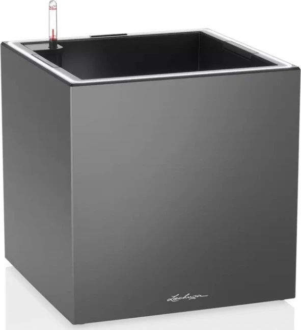 Lechuza Canto Premium