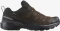Salomon X Ultra 360 Leather GTX dark earth/delicioso/sharkskin (Herren) Vorschaubild