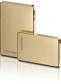 Toshiba Stor.E Steel, gold, 160GB, USB-A 2.0