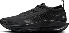 Nike Pegasus black/anthracite (Damen)