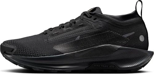 Nike Pegasus black/anthracite (Damen)