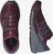 Salomon Sense Ride 4 wine tasting/quiet shade/ebony (Damen) Vorschaubild