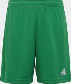 adidas Entrada 22 Shorts team green (Junior)