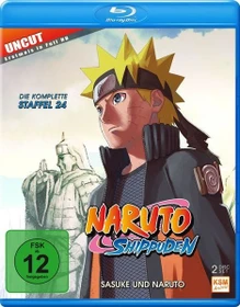 Naruto Shippuden Season 24 (Episode 690-699) (Blu-ray)