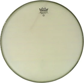 Remo Ambassador Renaissance Bass 24"