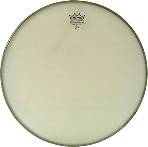Remo Ambassador Renaissance Bass 24"