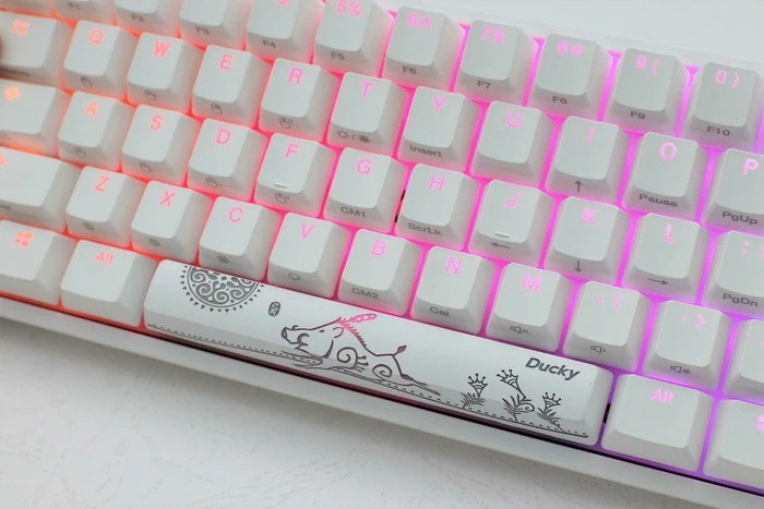 Ducky One 2 Mini RGB PBT, LEDs RGB, weiß, MX RGB BROWN, USB, US