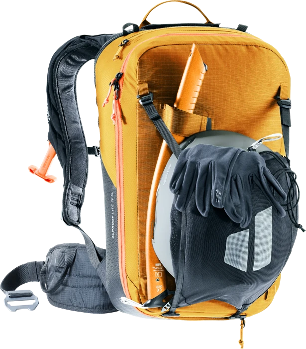 Deuter Alproof Lite 20 SL cinnamon/black