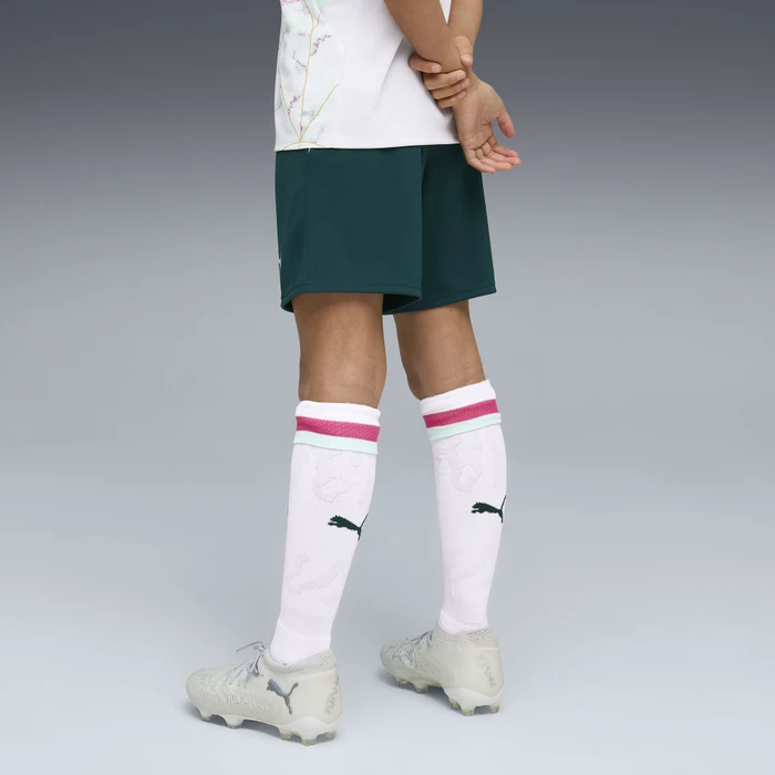 Puma FIFA WM 2026 Österreich Auswärtsshorts (Junior)