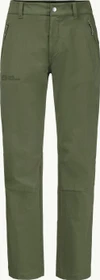 Jack Wolfskin Activate XT Hose lang greenwood (Herren)