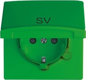 Busch-Jaeger Allwetter 44 SCHUKO Steckdosen-Einsatz mit Klappdeckel, grün