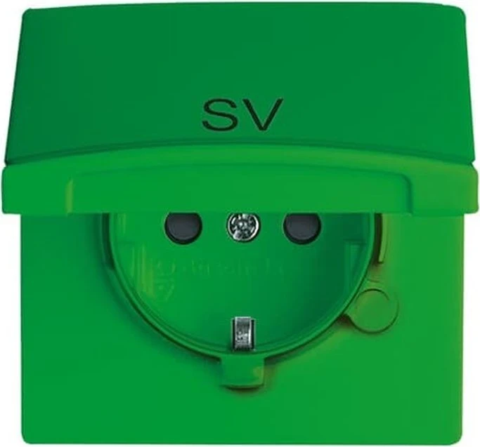 Busch-Jaeger Allwetter 44 SCHUKO Steckdosen-Einsatz mit Klappdeckel, grün