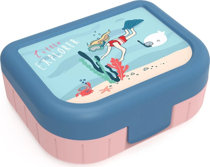 Rotho Snack Box Memory Kids Aufbewahrungsbehälter explorer mädchen 1l