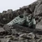 adidas Terrex Swift Solo 2.0 silver green/legend ivy/linen green Vorschaubild