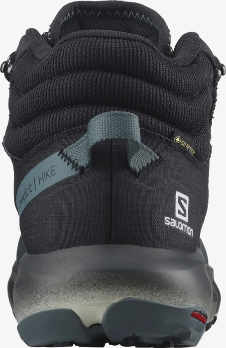 Salomon Predict Hike Mid GTX ebony/black/stormy weather (Herren)