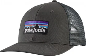 Patagonia P-6 Logo Trucker Kappe forge grey