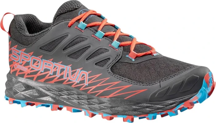 La Sportiva Lycan GTX carbon/hibiscus (Damen)
