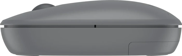 Philips 3000 Series Wireless Mouse, grau, USB