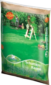 Kiepenkerl Pegasus Schatten-Rasensamen, 1kg