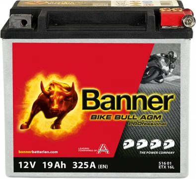Banner Bike Bull AGM Pro 516 21 ETX16L