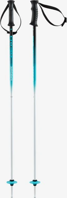 Head Supershape Team Alpin Skistock (Junior) (Modell 2023/2024)