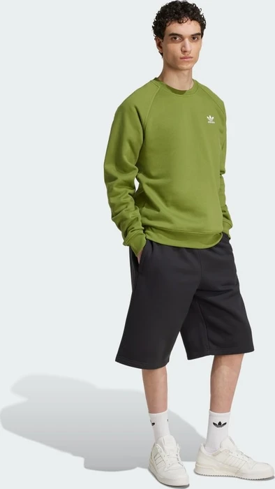 adidas Trefoil Essentials Sweatshirt tech olive (Herren)