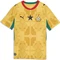 Puma FIFA WM 2026 Ghana Vorschaubild