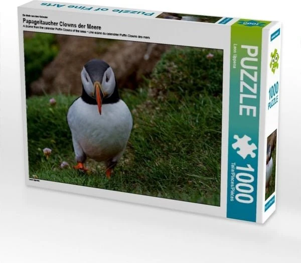 Calvendo Ein Motiv aus dem Kalender Papageitaucher Clowns der Meere