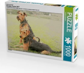 Calvendo Ein Motiv aus dem Kalender Airedale Terrier 2017