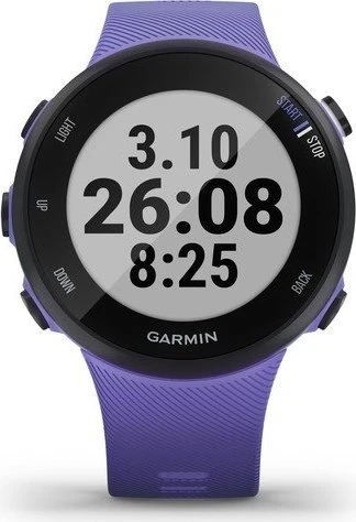 Garmin Forerunner 45S iris