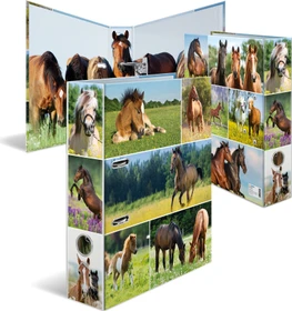 Herma Ordner 2-Ring mit Motiv, 70mm, A4, Animals Pferdewiese