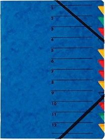 Pagna Easy Ordnungsmappe, 12 Fächer, A4, blau