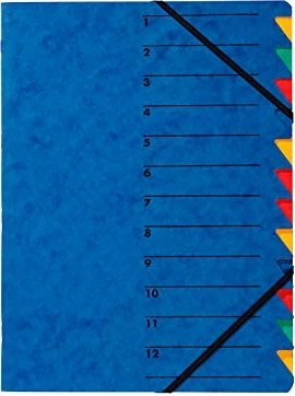 Pagna Easy Ordnungsmappe, 12 Fächer, A4, blau