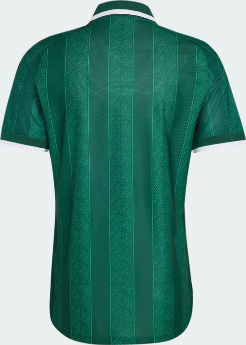 adidas FIFA WM 2026 Südafrika Authentic Auswärtstrikot kurzarm team dark green/team green (Herren)