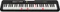 Casio LK-S250 Vorschaubild