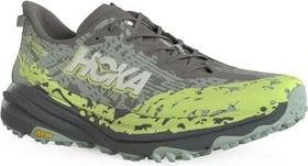 Hoka Speedgoat 6 Gore-Tex slate/aloe vera (Herren)