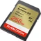 SanDisk Extreme GO R230/W150 256GB, UHS-I, Class 10 Vorschaubild