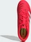 adidas Predator Club MG lucid red/cloud white/core black (Junior) Vorschaubild