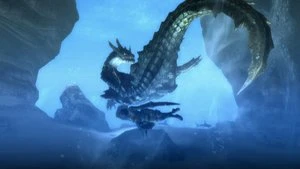 Monster Hunter Tri (Wii)